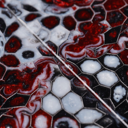 Maple Burl | Honeycomb