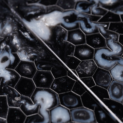 Maple Burl | Honeycomb