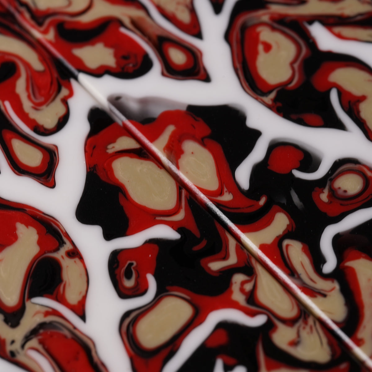Maple Burl | Fracture