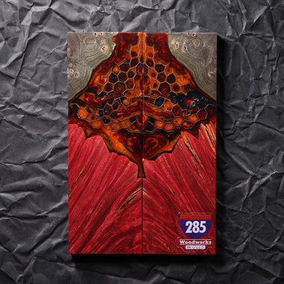 Maple Burl | Honeycomb