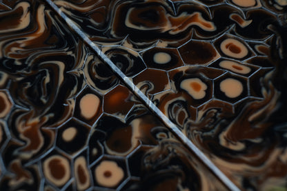 Maple Burl | Honeycomb