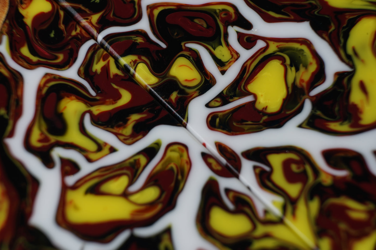 Maple Burl | Fracture