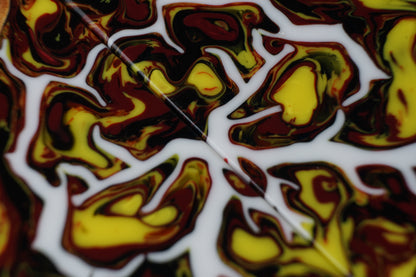Maple Burl | Fracture