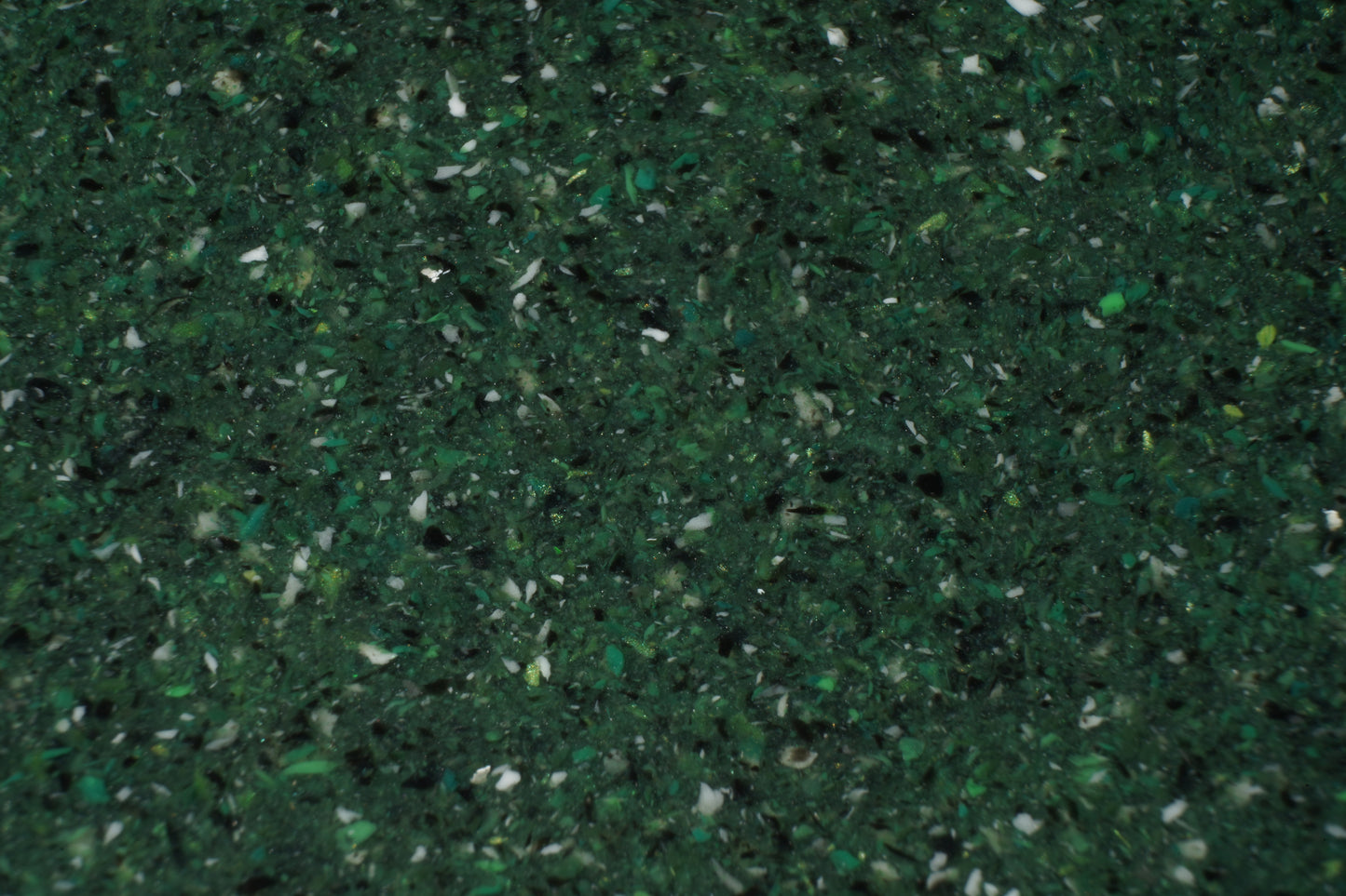 Moss