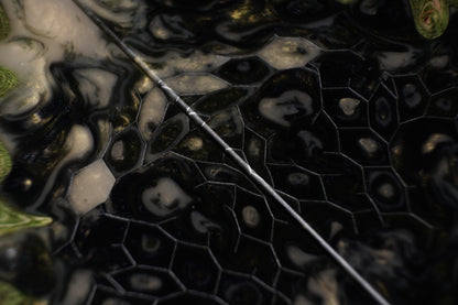 Maple Burl | Honeycomb