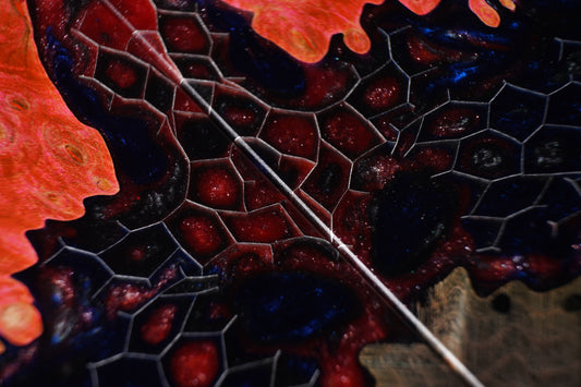 Maple Burl | Honeycomb