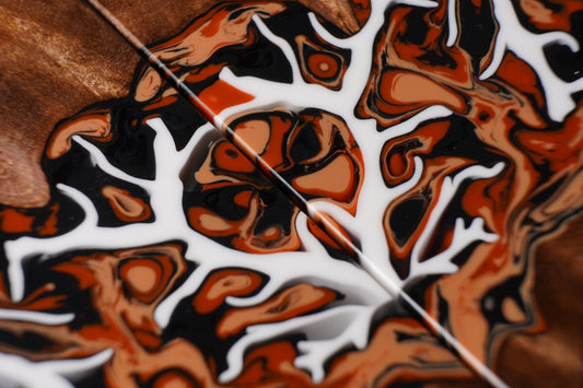 Chechen Burl | Fracture