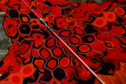 Maple Burl | Honeycomb