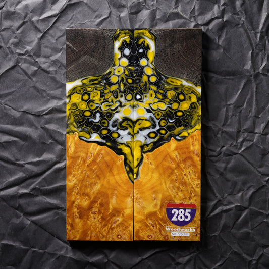 Maple Burl | Honeycomb